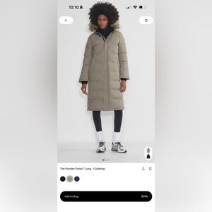 Aritzia Taupe Puffer Coat